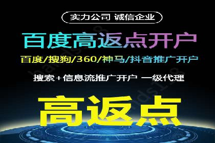 SEM运营策略案例分析